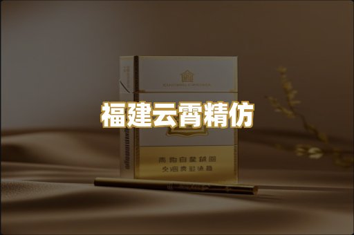 福建云霄精仿